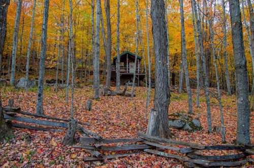 A cozy cabin nestled among vibrant autumn trees, surrounded by fallen leaves in a serene forest setting.