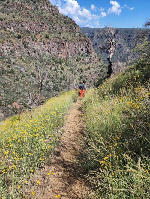 Two hikers walk along a narrow trail surrounded by wildflowers and steep rocky cliffs under a blue sky.