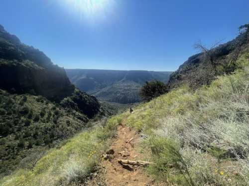 A hiker walks along a trail in a lush valley surrounded by mountains under a bright blue sky.