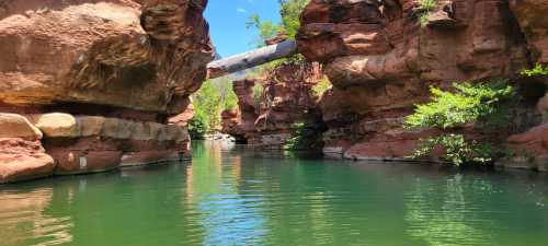 A serene river flows between towering red rock cliffs, with lush greenery and a log arching over the water.