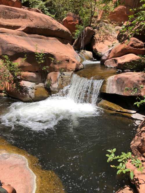 A serene stream flows over rocks in a sunlit canyon, surrounded by lush greenery and red sandstone formations.