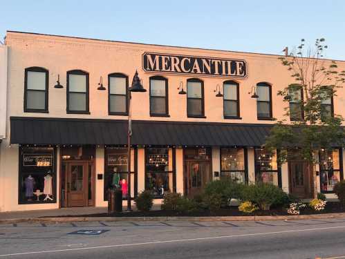 A storefront labeled "MERCANTILE" with large windows and a black awning, surrounded by greenery and a clear sky.