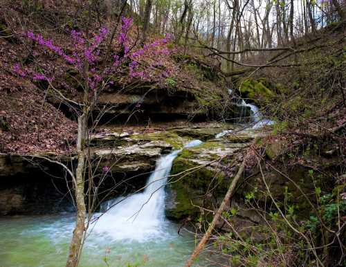 A serene waterfall cascades over rocks, surrounded by lush greenery and blooming pink flowers in a tranquil forest setting.