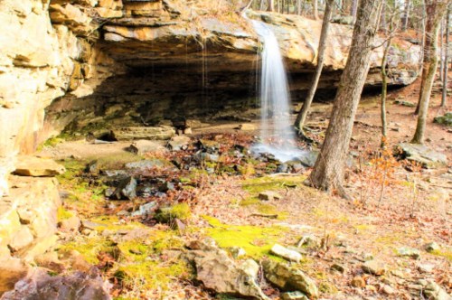 A serene waterfall cascades over rocks in a wooded area, surrounded by moss and autumn foliage.
