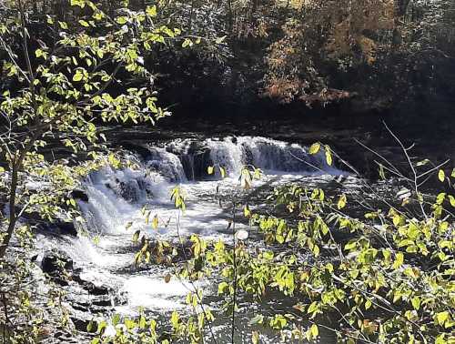 A serene waterfall surrounded by lush greenery and autumn-colored leaves.