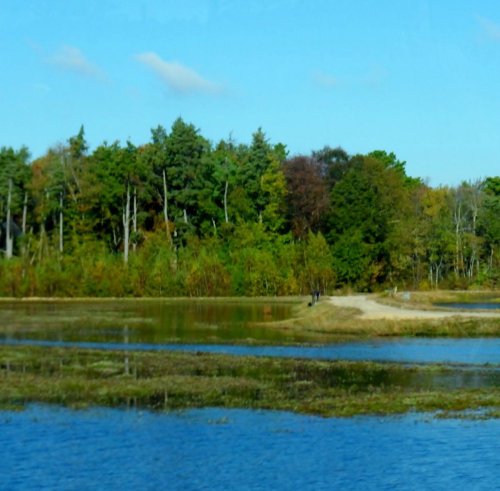 A serene landscape featuring a calm water body, surrounded by lush green trees and a clear blue sky.