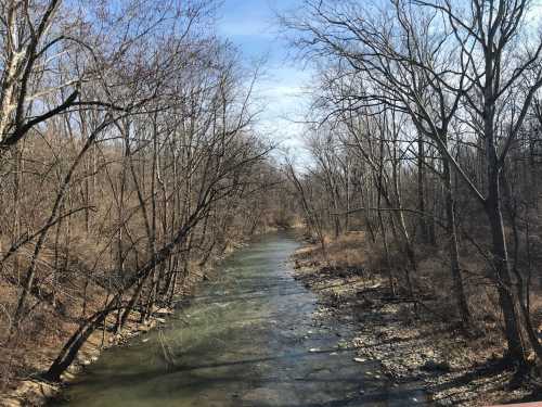 A serene river flows through a wooded area, with bare trees lining the banks under a clear blue sky.