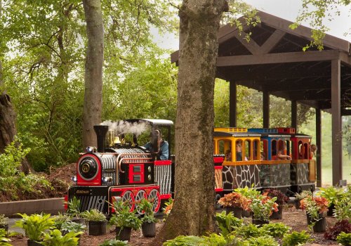 A colorful miniature train with steam, surrounded by lush greenery and plants, under a wooden shelter.