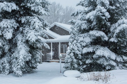 A cozy house surrounded by snow-covered trees during a heavy snowfall.