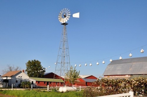A windmill stands tall beside red barns and a white farmhouse under a clear blue sky, with decorative lights strung nearby.