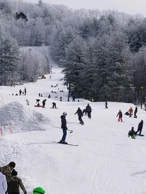 A snowy hill filled with people skiing and sledding, surrounded by frosted trees and a clear winter sky.