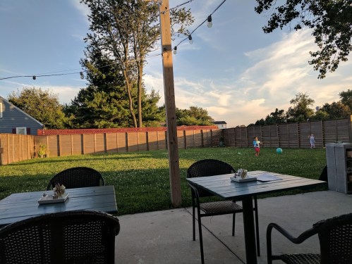 A backyard scene with a grassy area, wooden fence, and two children playing in the distance under a blue sky.
