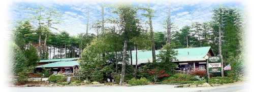 A rustic lodge surrounded by tall trees and greenery, featuring a green roof and welcoming signage.