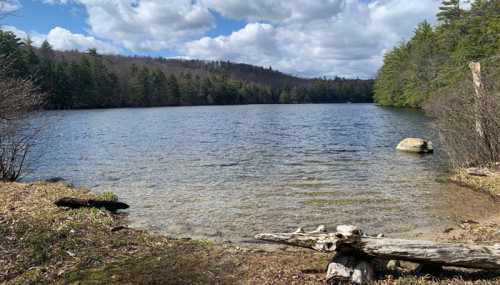 A serene lake surrounded by trees under a partly cloudy sky, with a rocky shore and gentle ripples on the water.