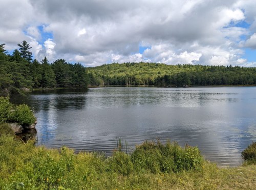 A serene lake surrounded by lush greenery and trees, under a partly cloudy sky.