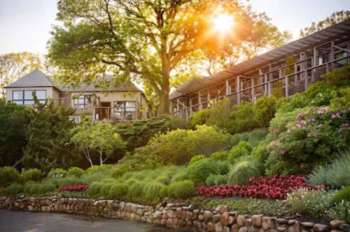 A sunlit garden with vibrant flowers and lush greenery, featuring a modern house in the background.