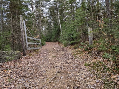 A dirt path leads through a forest, flanked by wooden gates and surrounded by trees and fallen leaves.