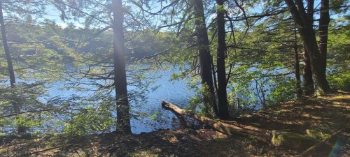 A serene lakeside view surrounded by trees, with sunlight reflecting on the water's surface.