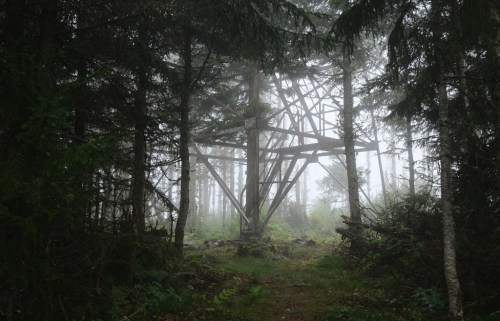 A foggy forest scene featuring a tall, wooden structure surrounded by dense trees and underbrush.