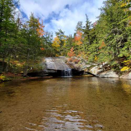 A serene forest scene with a small waterfall cascading into a calm pool, surrounded by colorful autumn foliage.