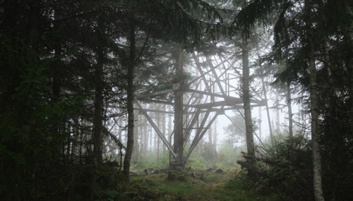 A foggy forest scene with a large, abstract wooden structure partially obscured by trees and mist.