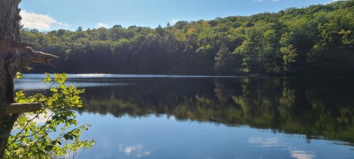 A serene lake surrounded by lush green trees, reflecting the sky and foliage on its calm surface.