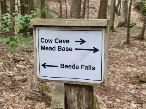 Signpost in a forest directing to Cow Cave, Mead Base, and Beede Falls with arrows indicating each location.
