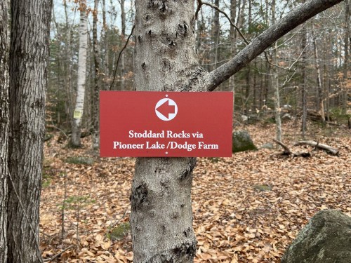 A directional sign on a tree indicating the trail to Stoddard Rocks via Pioneer Lake/Dodge Farm.