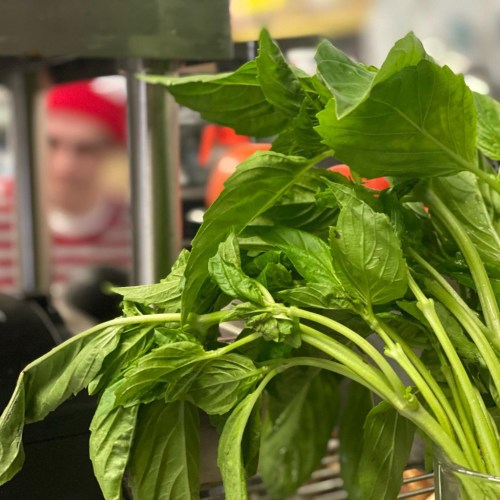 Fresh basil leaves in a glass vase, with a blurred figure in the background wearing a red and white striped shirt.