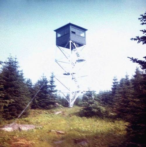 A tall wooden fire lookout tower stands among green trees, surrounded by a natural landscape.