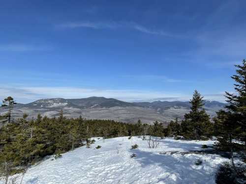 A snowy landscape with evergreen trees and distant mountains under a clear blue sky.