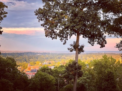 A scenic view of a lush landscape with trees and a distant horizon under a colorful sky at sunset.