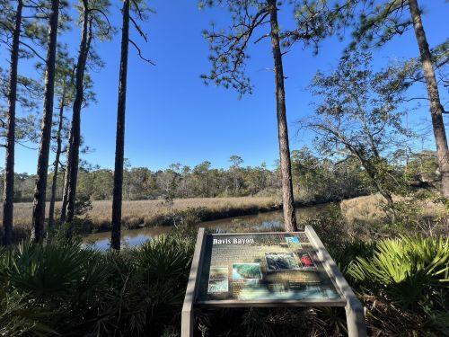 A sign about Davis Bayou in a natural landscape with tall trees and a clear blue sky.