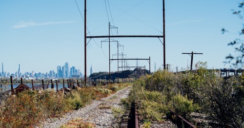 Abandoned railway tracks lined with overgrown vegetation, leading towards a distant city skyline under a clear blue sky.