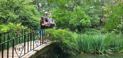 Three people stand on a wooden bridge overlooking a lush, green pond surrounded by trees and tall grasses.