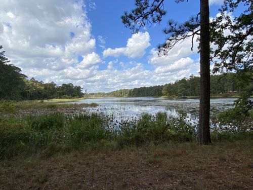 A serene lake surrounded by trees and lush greenery under a partly cloudy sky.