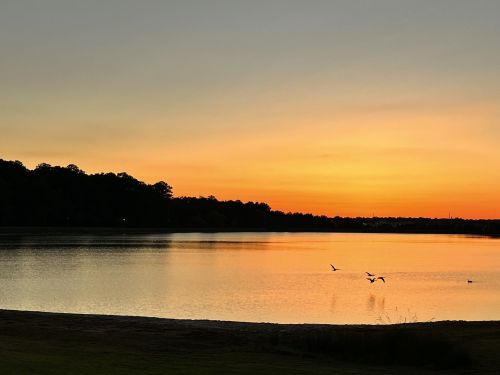 A serene sunset over a calm lake, with silhouettes of trees and birds flying across the colorful sky.