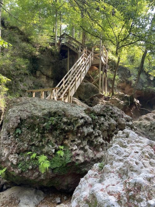 A wooden staircase leads up a rocky hillside, surrounded by lush green trees and foliage.