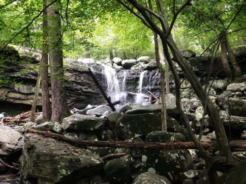 A serene waterfall cascades over rocks, surrounded by lush green trees in a tranquil forest setting.