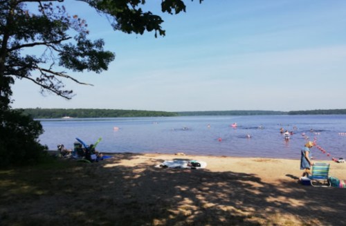 A serene lake scene with a sandy beach, people swimming, and trees lining the shore under a clear blue sky.