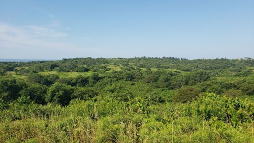 Lush green landscape with rolling hills under a clear blue sky, overlooking a distant ocean.