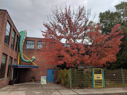 A colorful dragon sculpture on a brick building beside a vibrant red tree in autumn.