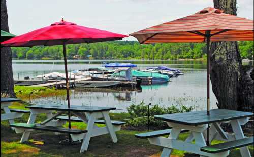 A serene lakeside view with colorful umbrellas over picnic tables and boats docked in the background.