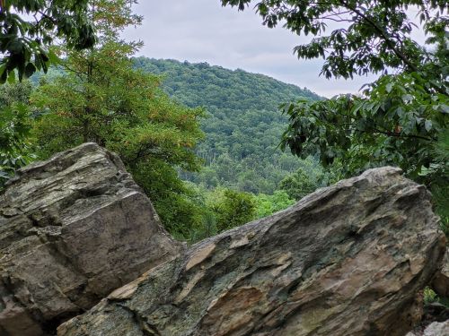A rocky foreground with lush green trees and a distant hillside under a cloudy sky.