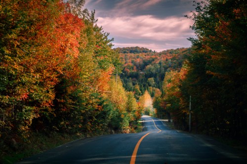 A winding road surrounded by vibrant autumn foliage and rolling hills under a cloudy sky.