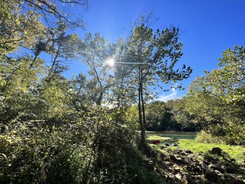 Sunlight filters through trees by a river, surrounded by lush greenery and a clear blue sky.