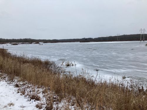 A frozen lake surrounded by brown grass and snow, under a cloudy sky with distant trees and power lines.