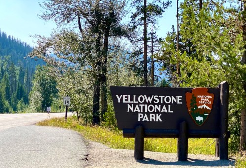 Sign for Yellowstone National Park, surrounded by trees, with a speed limit sign in the background.