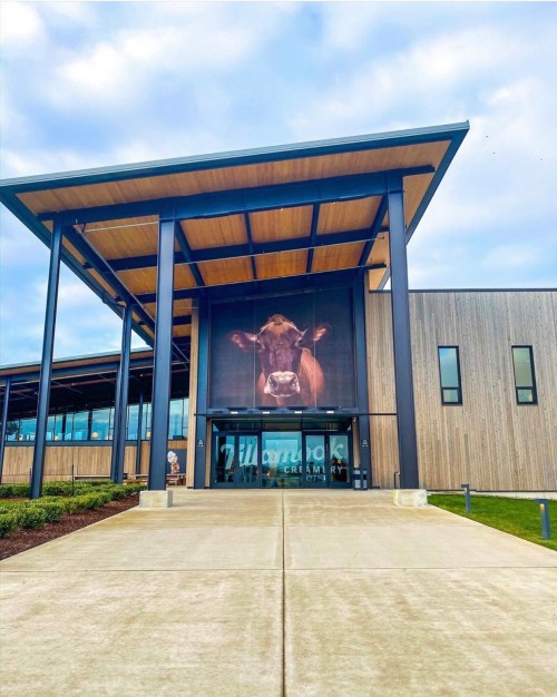Modern building entrance featuring a large cow mural and a welcoming pathway.