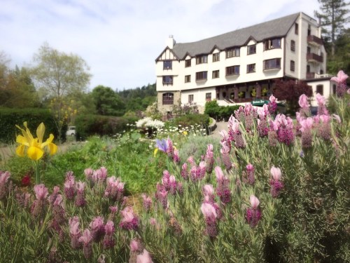 A charming building surrounded by colorful flowers and greenery under a cloudy sky.